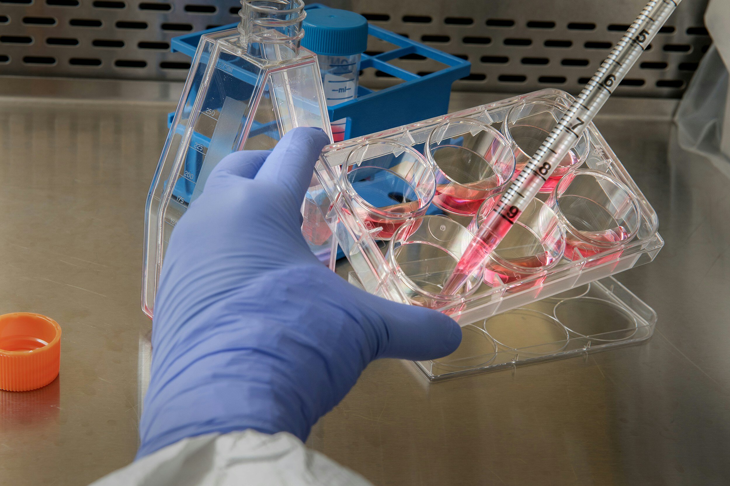 Lab culturing